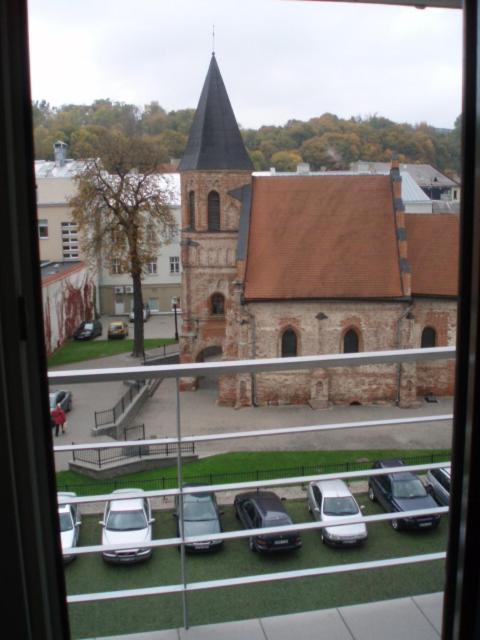 Marijos Karpenko Apartaments Kaunas Dış mekan fotoğraf